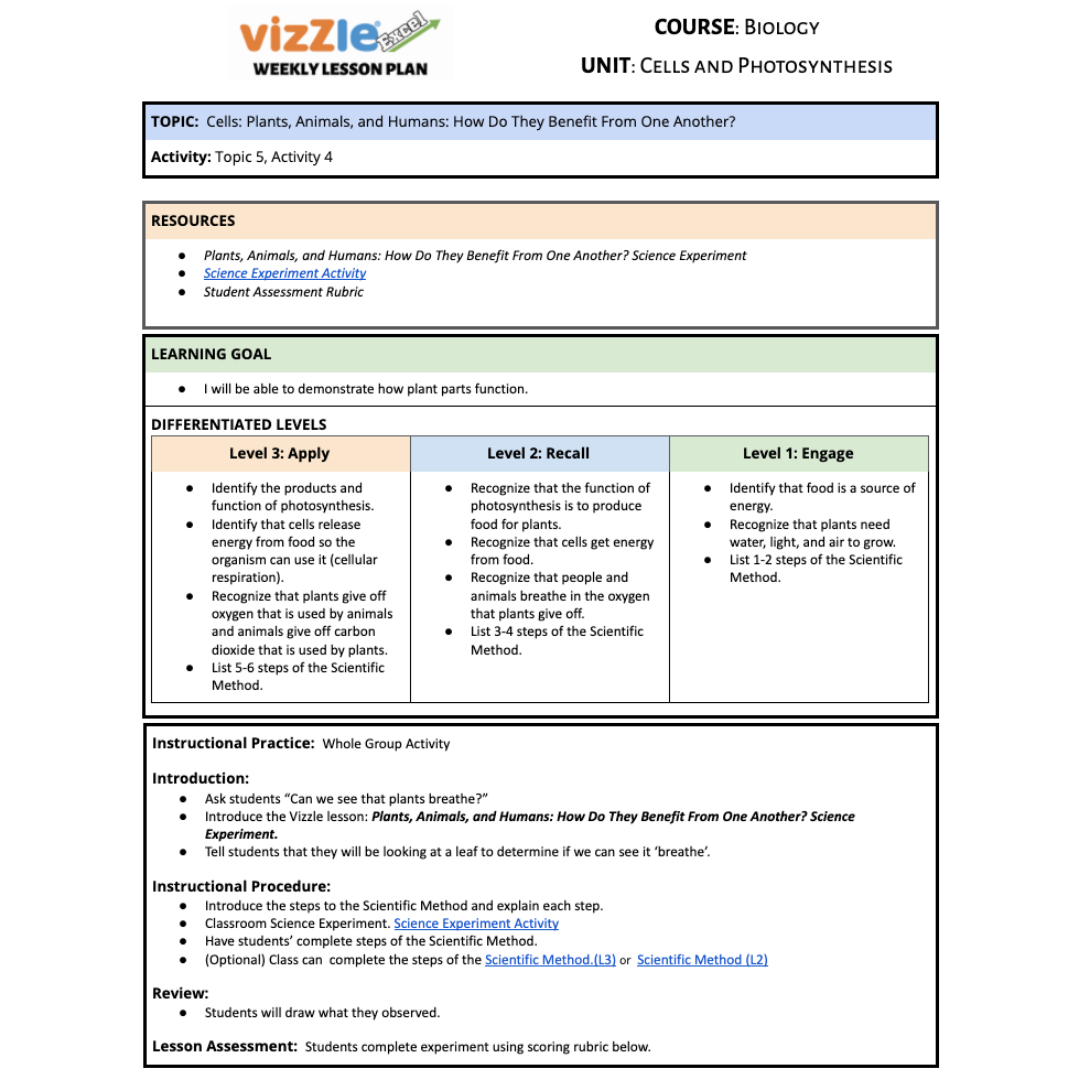 vizzle-lesson-plans